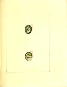 n192_w1150