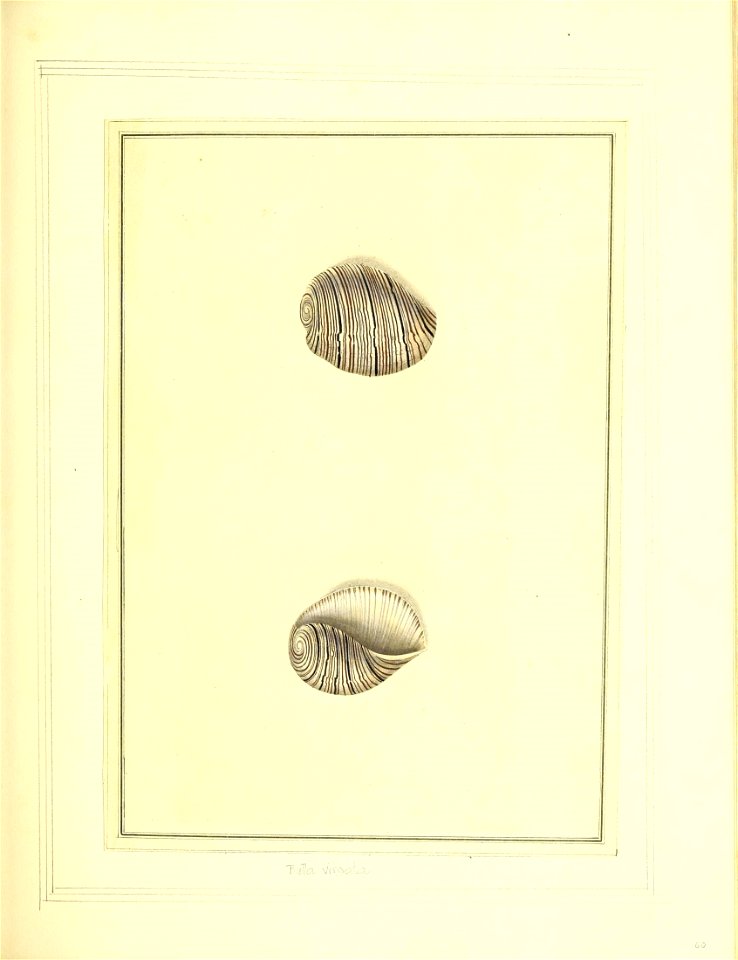n154_w1150