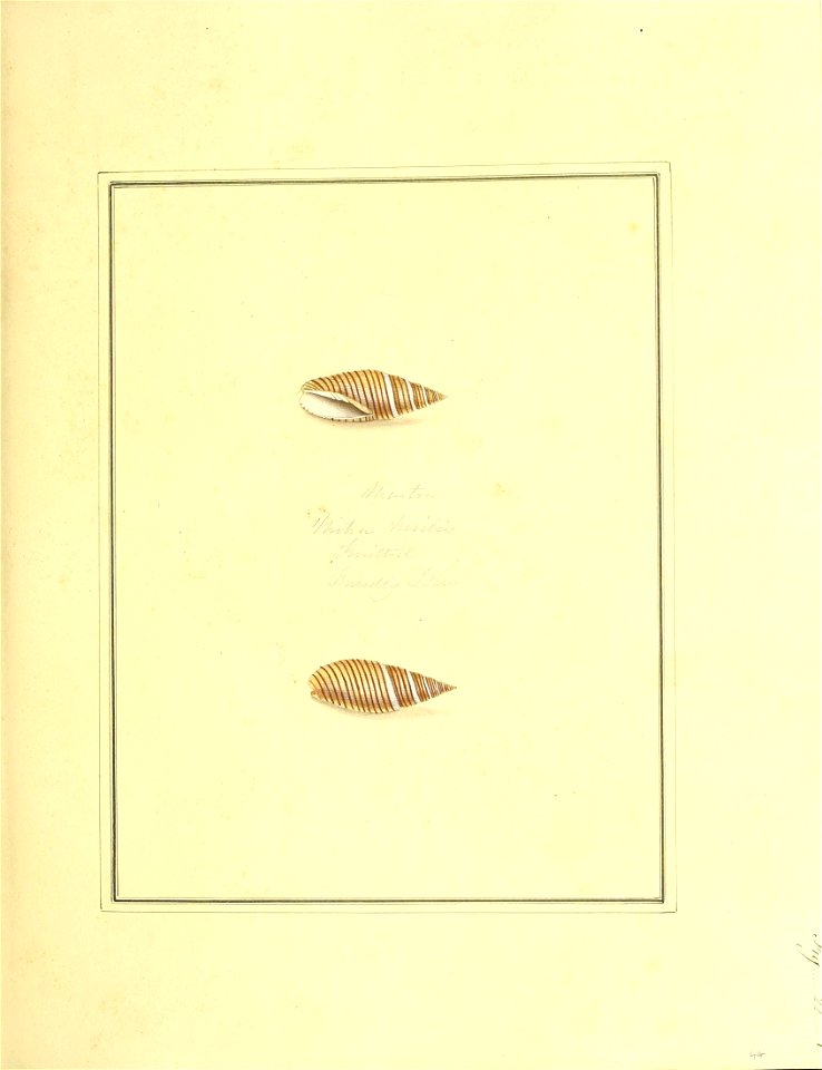 n104_w1150