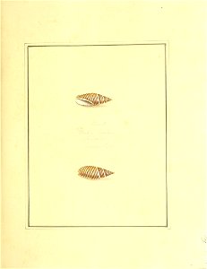 n104_w1150