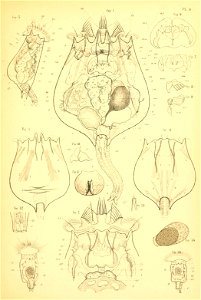 n56_w1150
