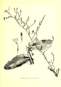n656_w1150
