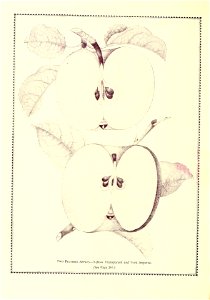 n217_w1150