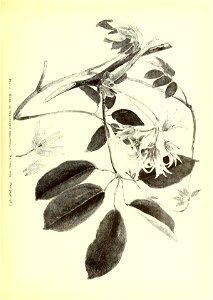 n162_w1150
