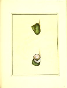 n182_w1150