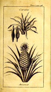n532_w1150