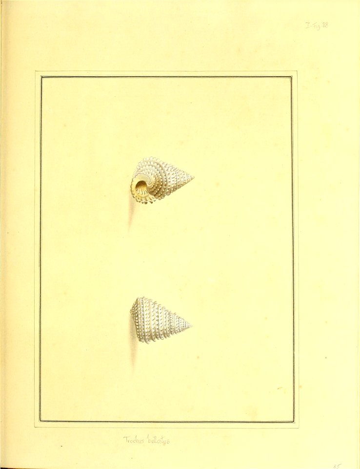 n230_w1150