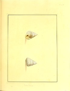 n230_w1150