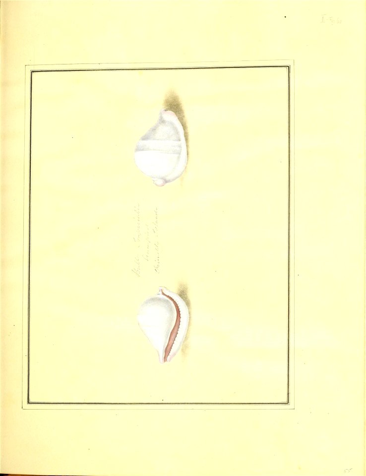 n144_w1150