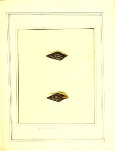 n54_w1150