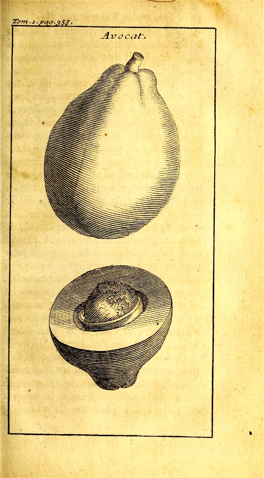 n468_w1150