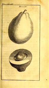n468_w1150