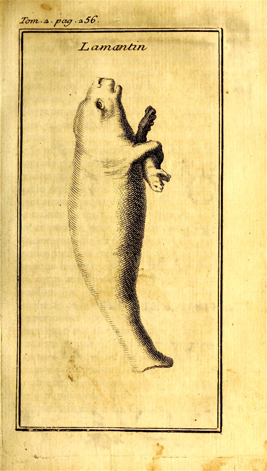 n294_w1150