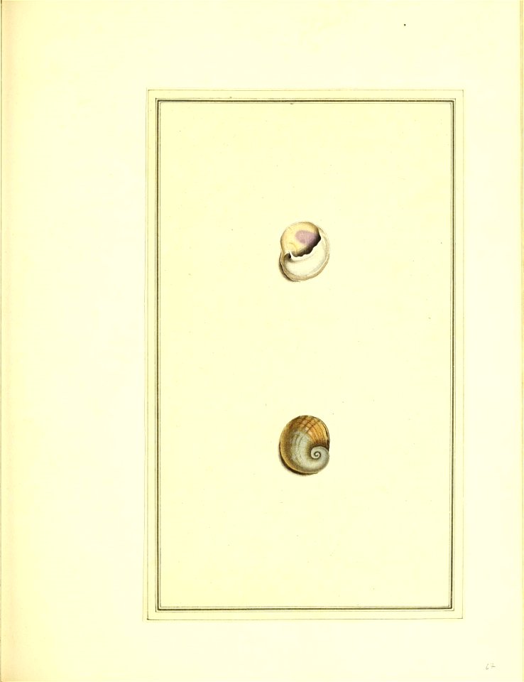 n174_w1150