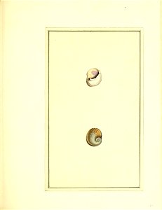 n174_w1150