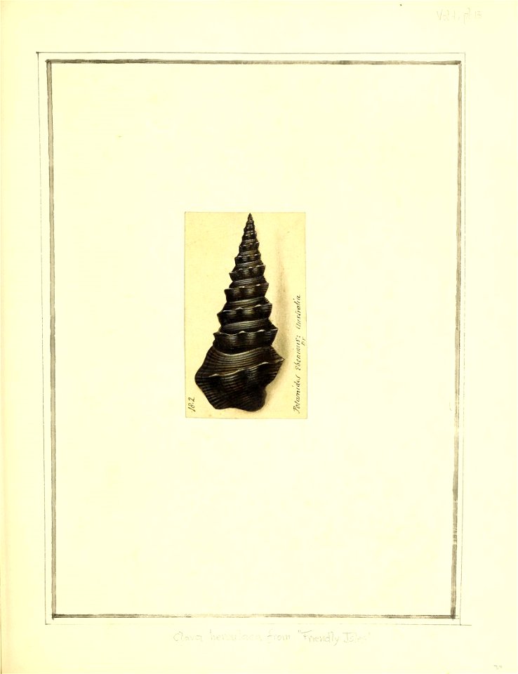n82_w1150