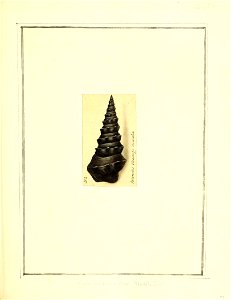 n82_w1150