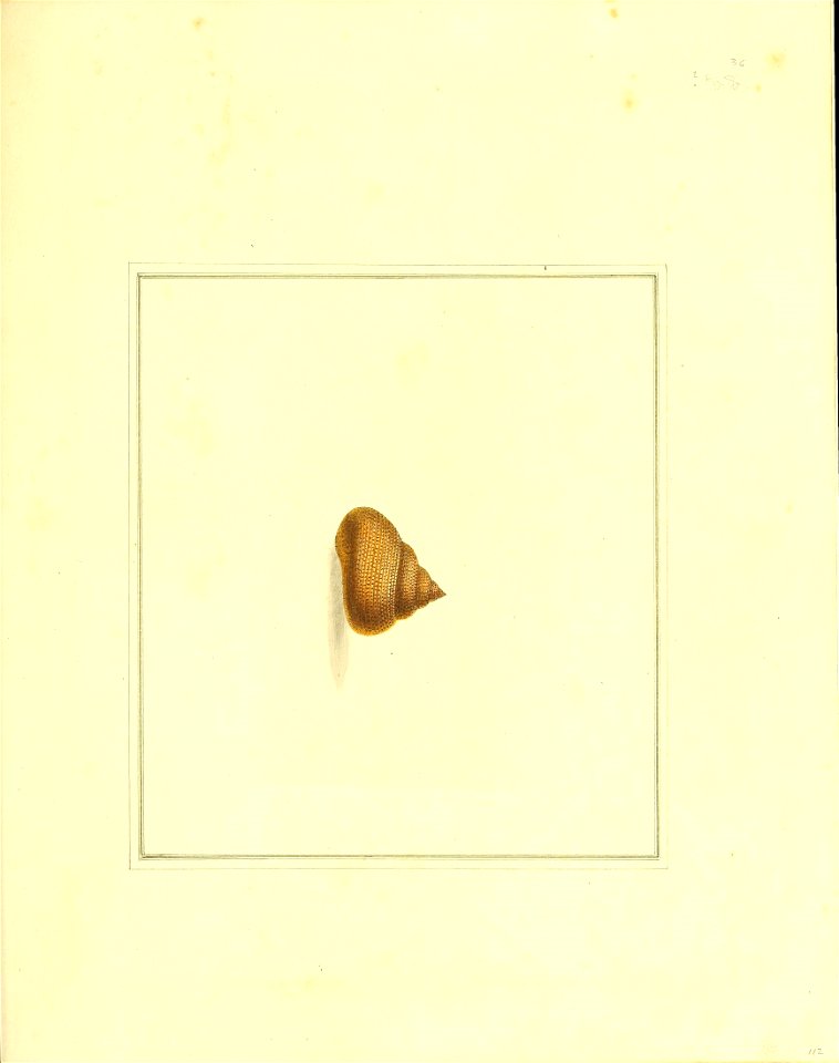 n304_w1150