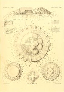 n132_w1150