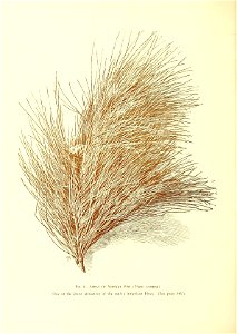 n679_w1150