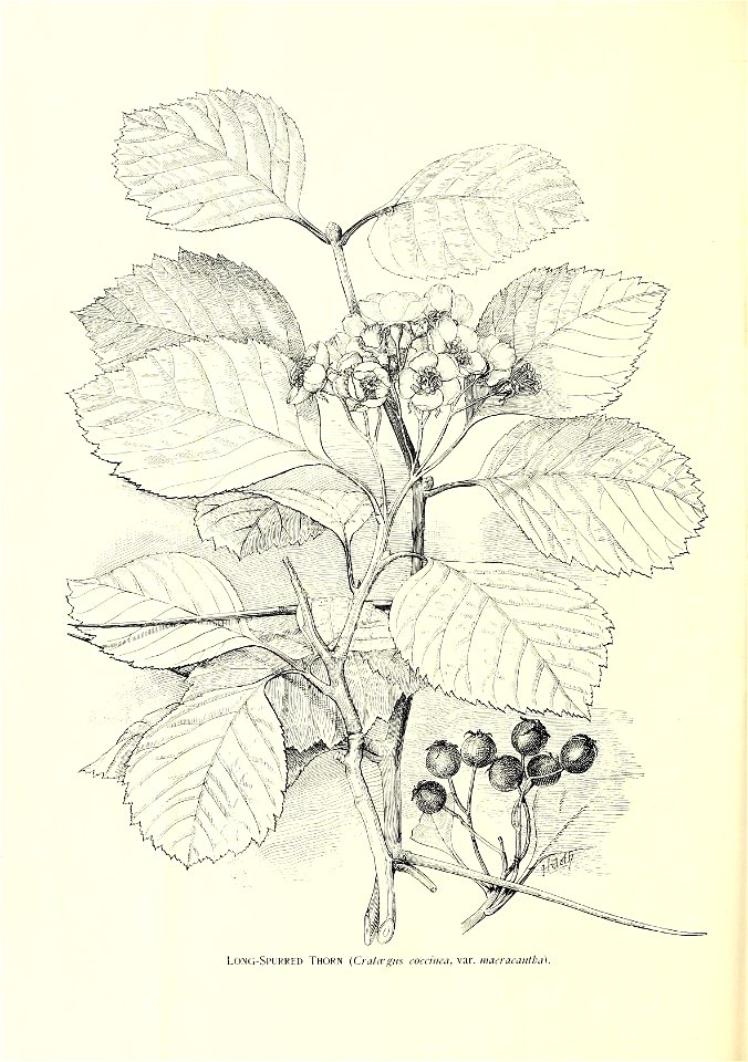 n543_w1150