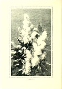 n149_w1150