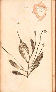n592_w1150