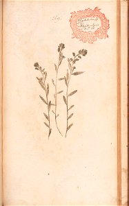 n562_w1150