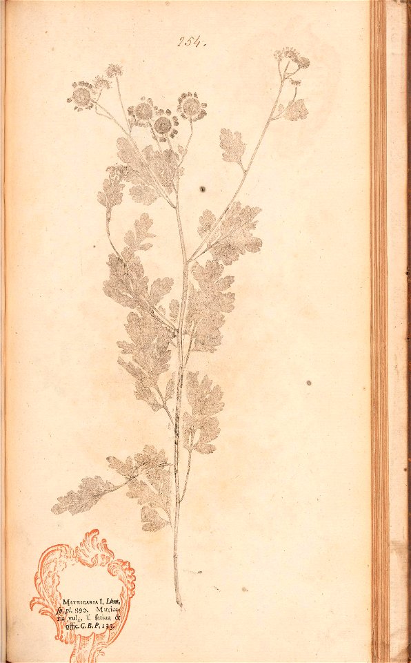 n532_w1150