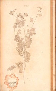 n532_w1150