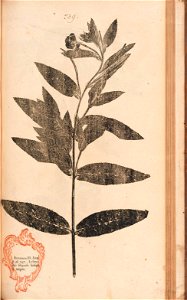 n502_w1150