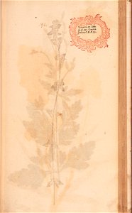 n412_w1150