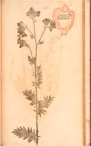 n560_w1150