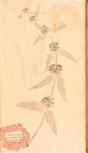 n170_w1150