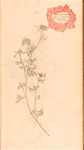n140_w1150