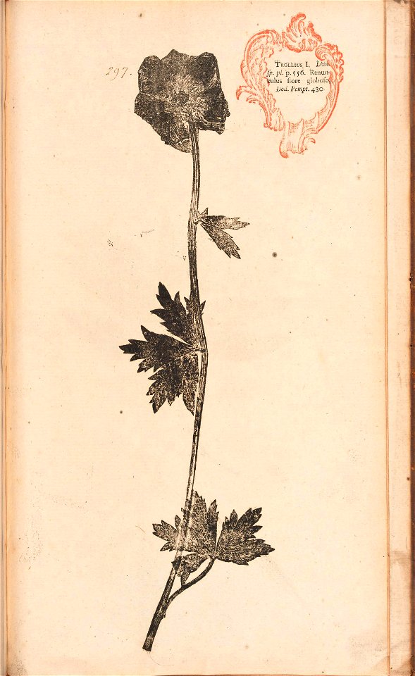 n618_w1150