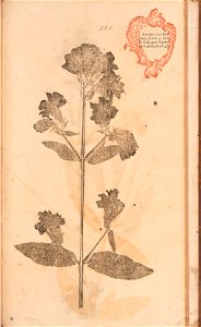 n588_w1150