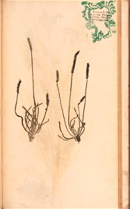 n558_w1150