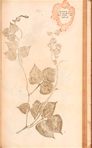 n498_w1150