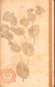 n468_w1150