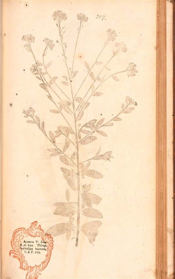 n438_w1150