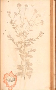 n438_w1150