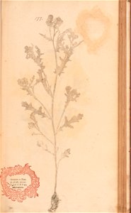 n378_w1150