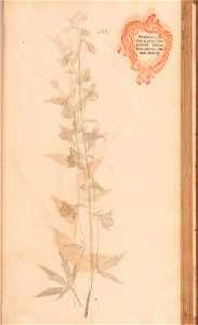 n288_w1150