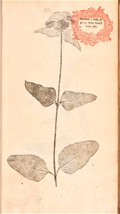 n168_w1150