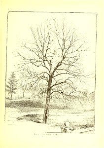 n418_w1150