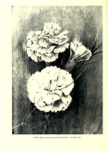 n83_w1150