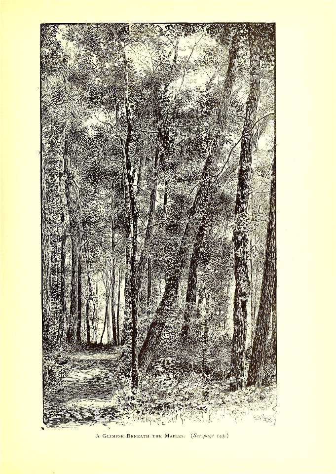 n158_w1150