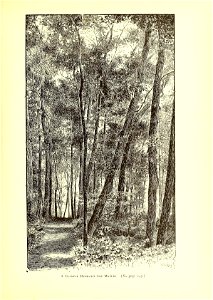 n158_w1150
