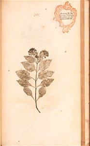 n526_w1150